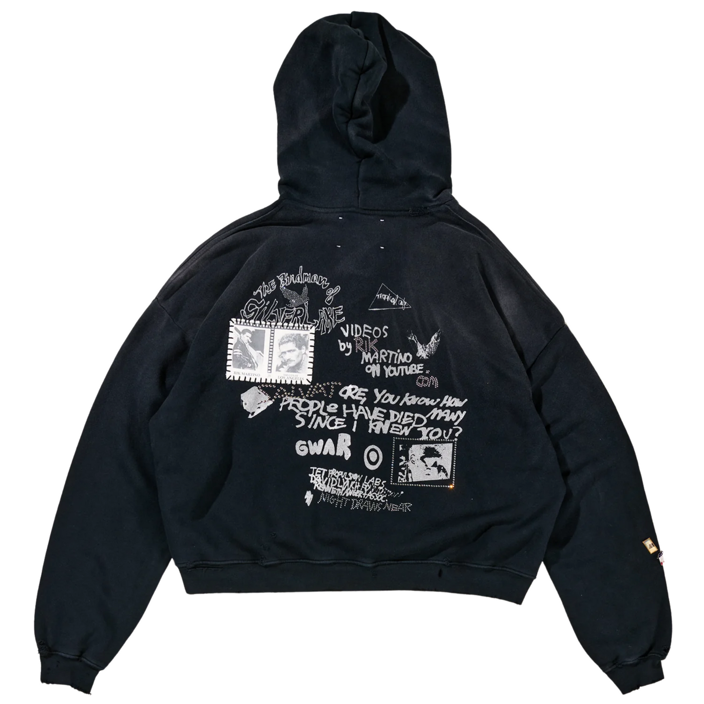 Paly Hollywood Birdman of Sliver Lake Zip Up Hoodie