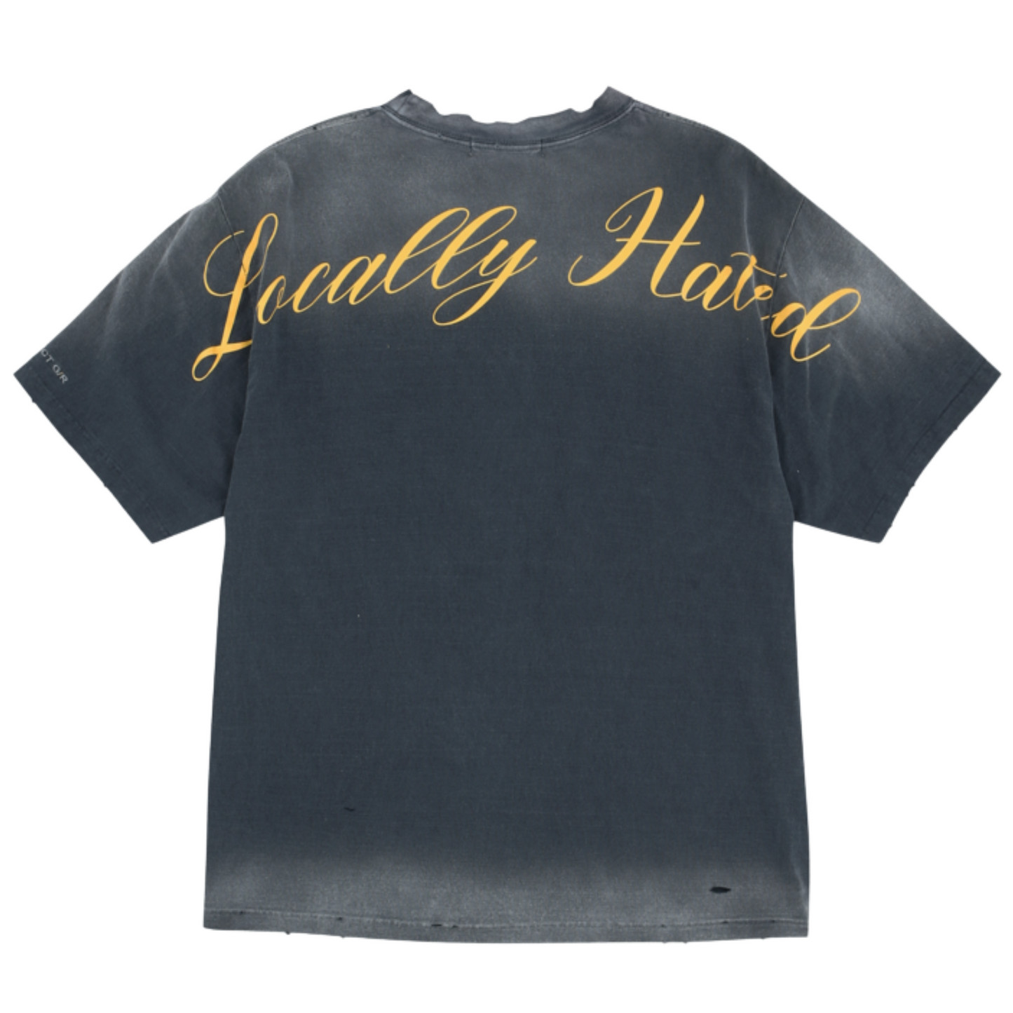 Project G/R Locally Hated Washed Tee