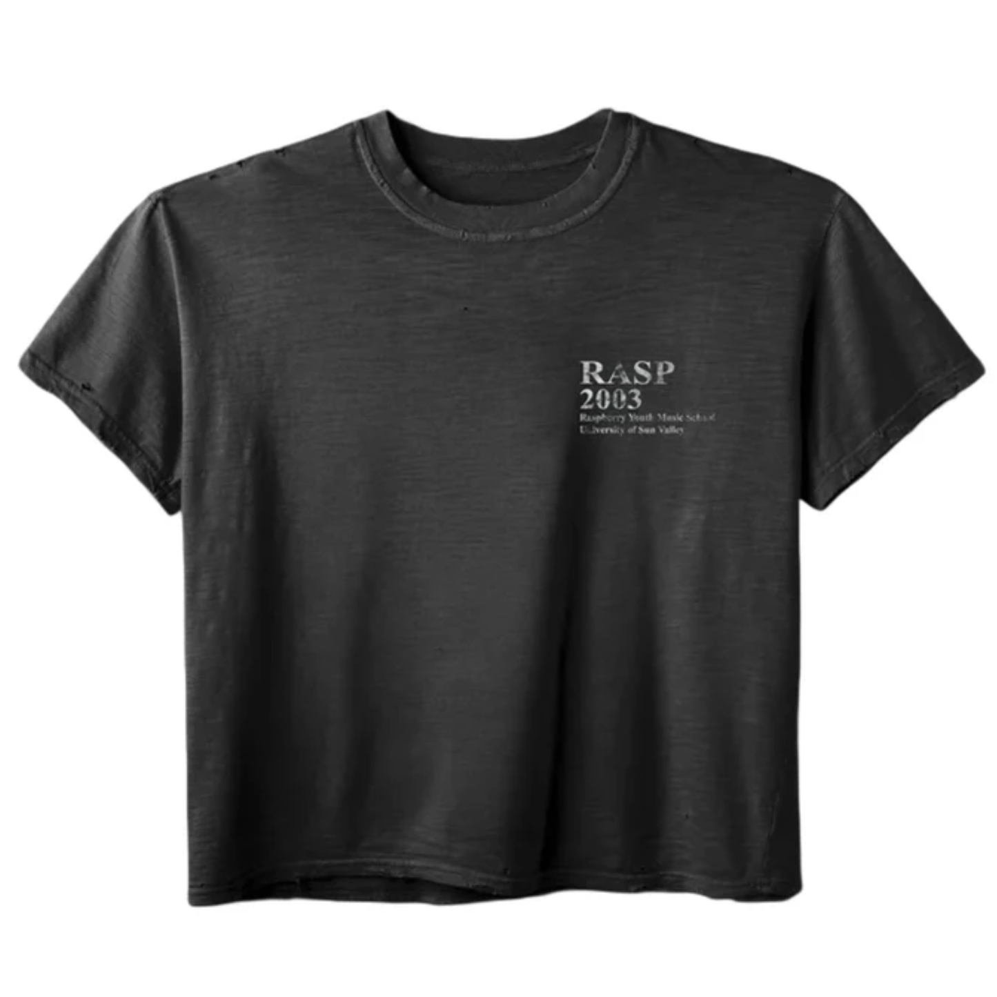 GV Gallery Raspberry HIlls Music Tee